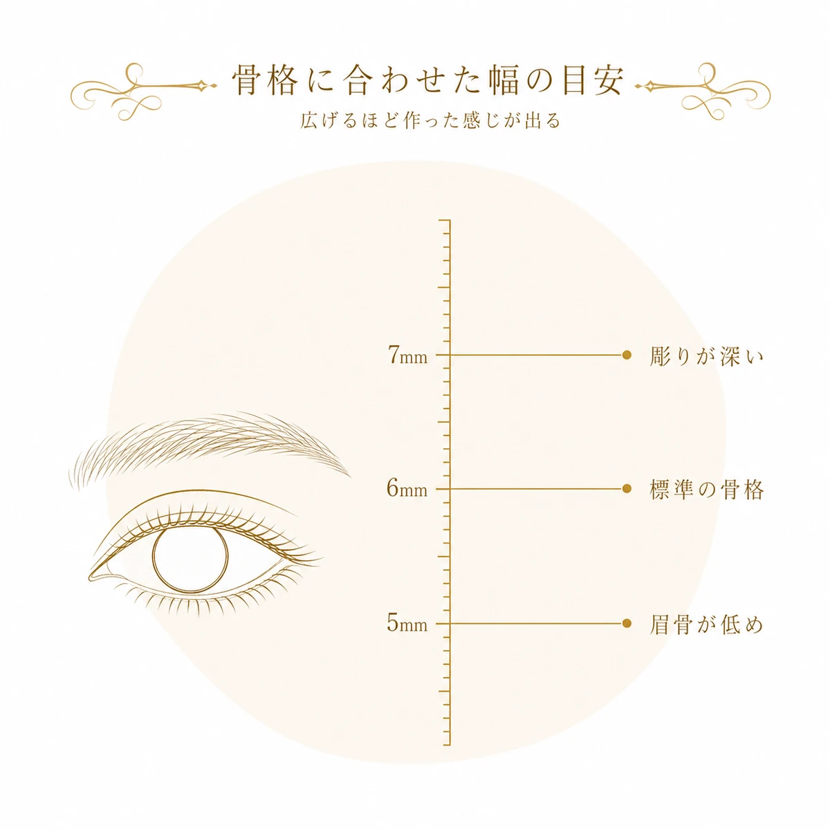 二重幅の目安を縦の目盛りで示し、5mmから7mmまでの幅が眉骨の高さや彫りの深さとどう対応するかを並べた図解イラスト